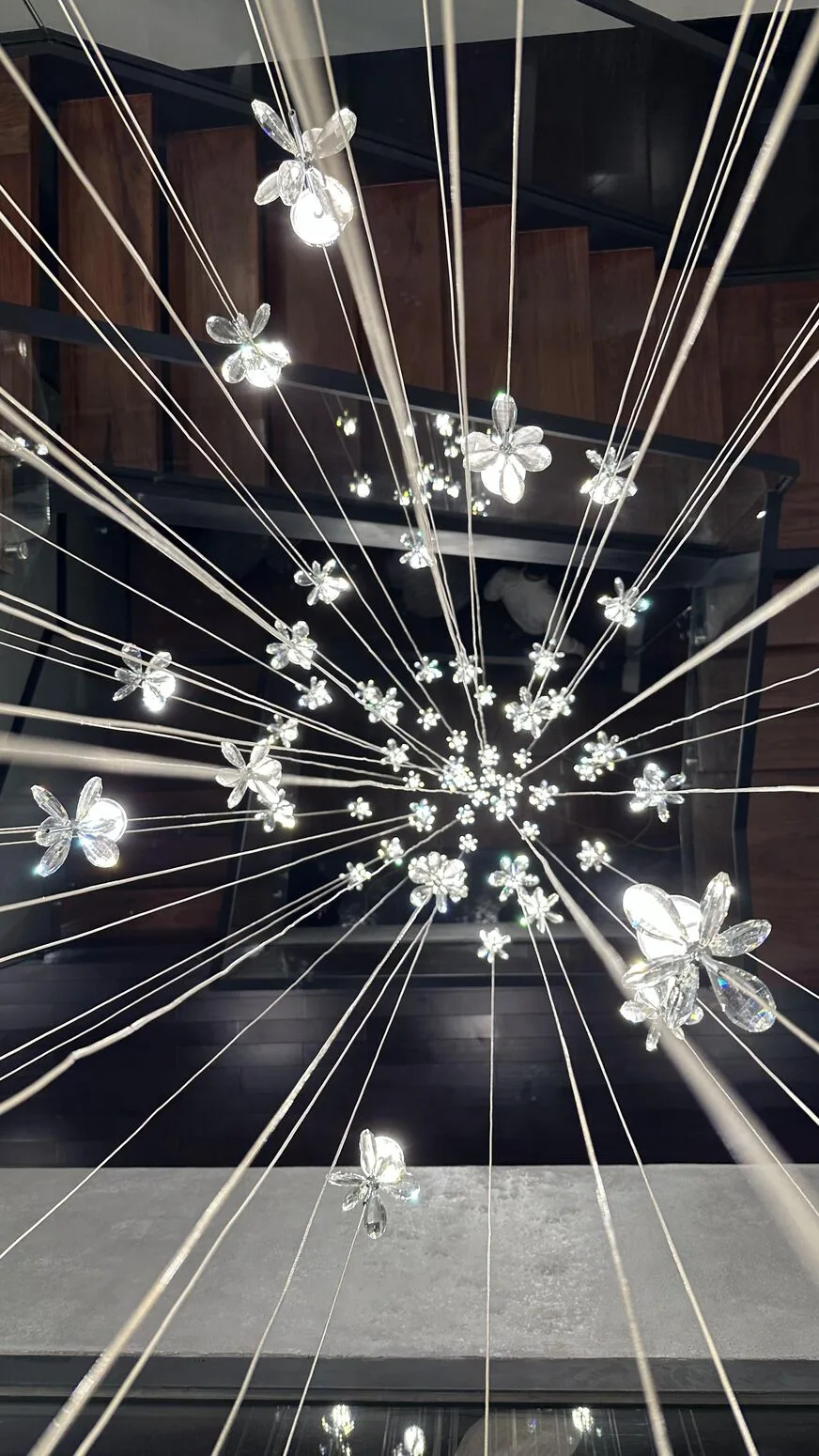 Close-up — crystal bursting like a cluster of stars