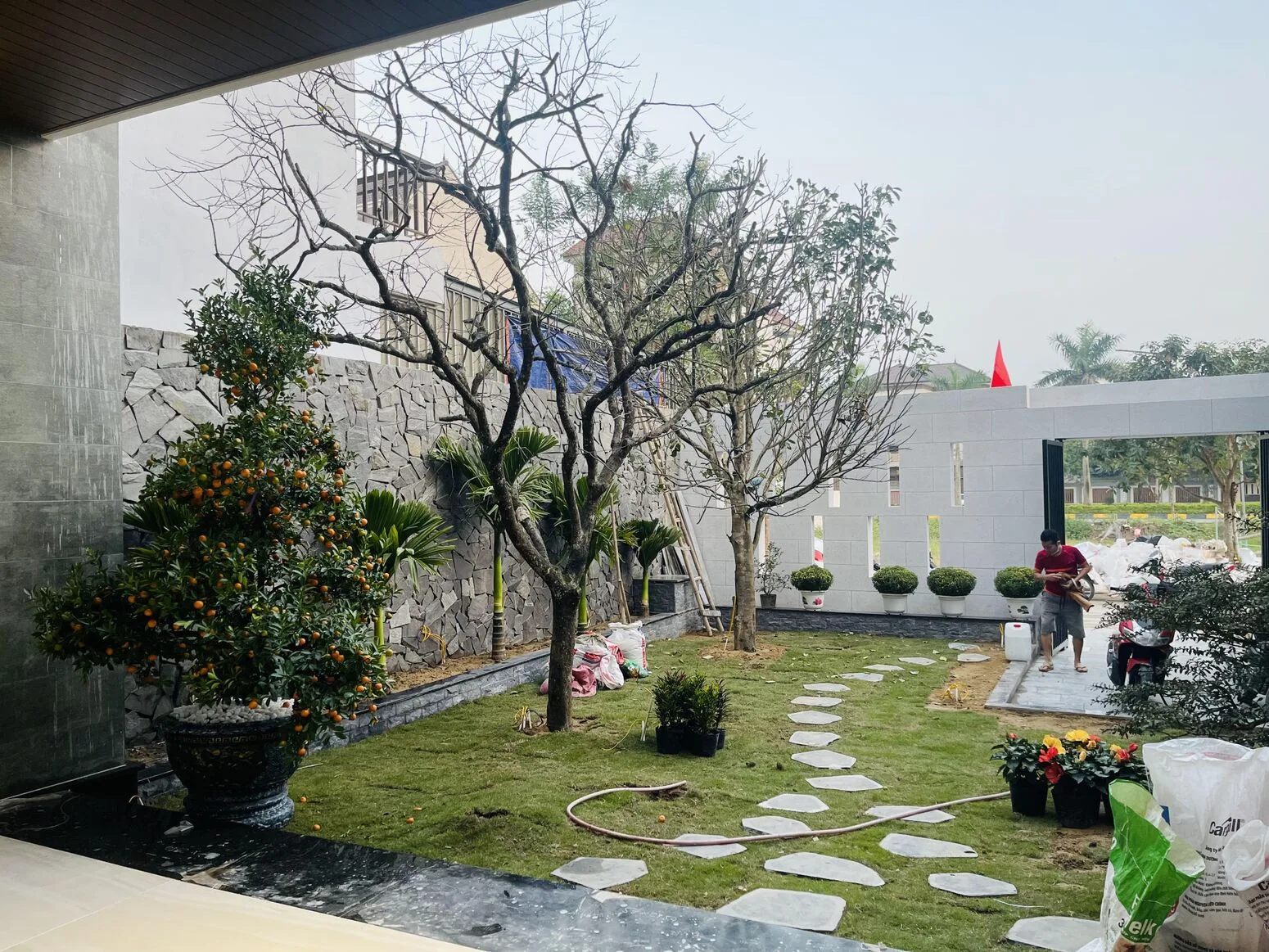The garden with pathways and lawn