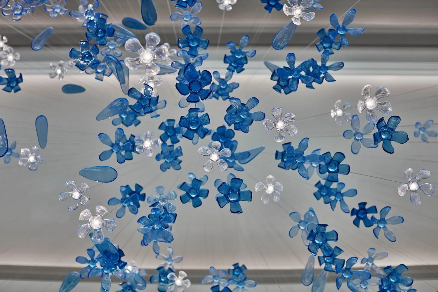 Detail of the glass flowers catching light
