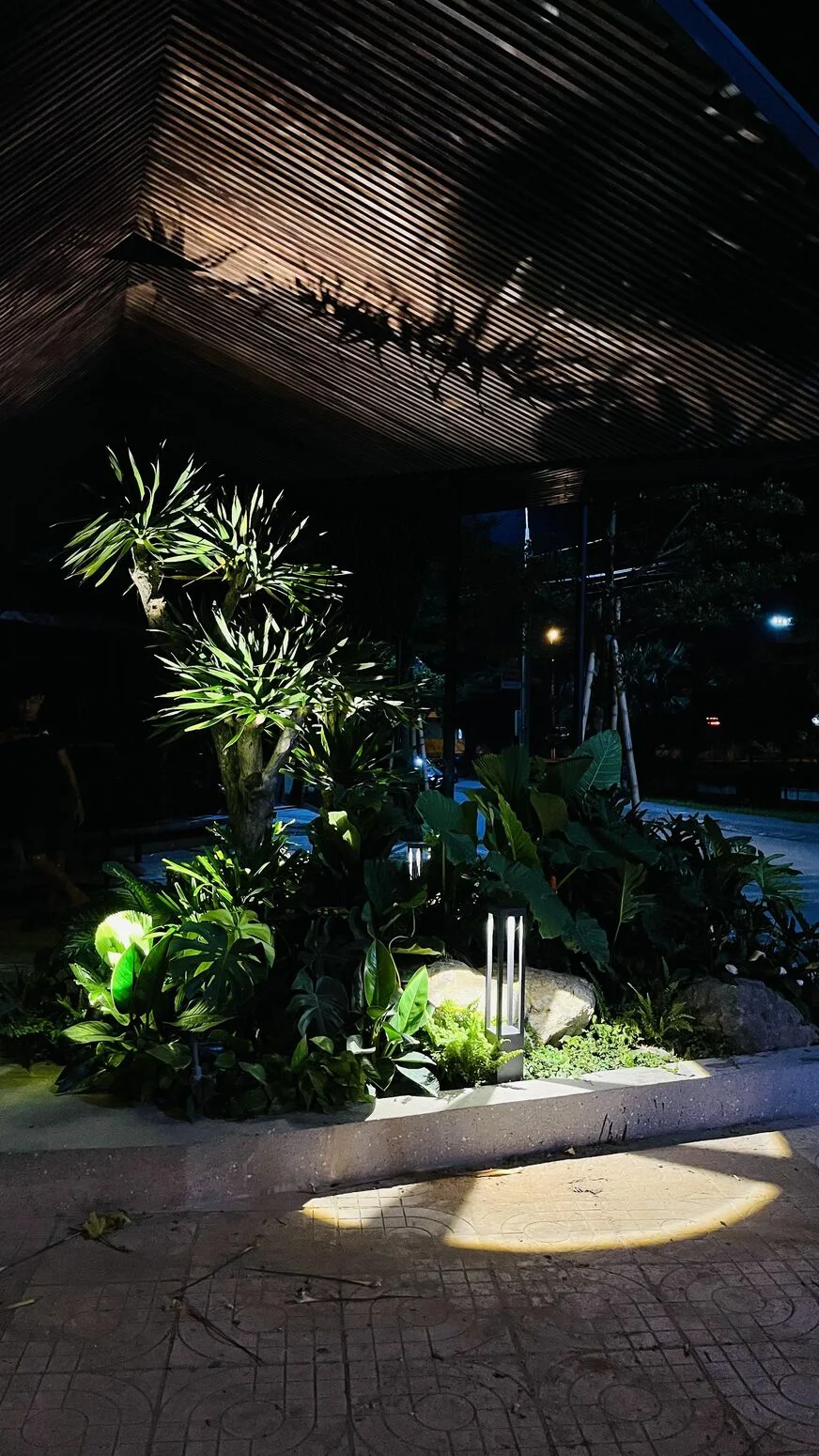 A garden path at night — low lights on the foliage