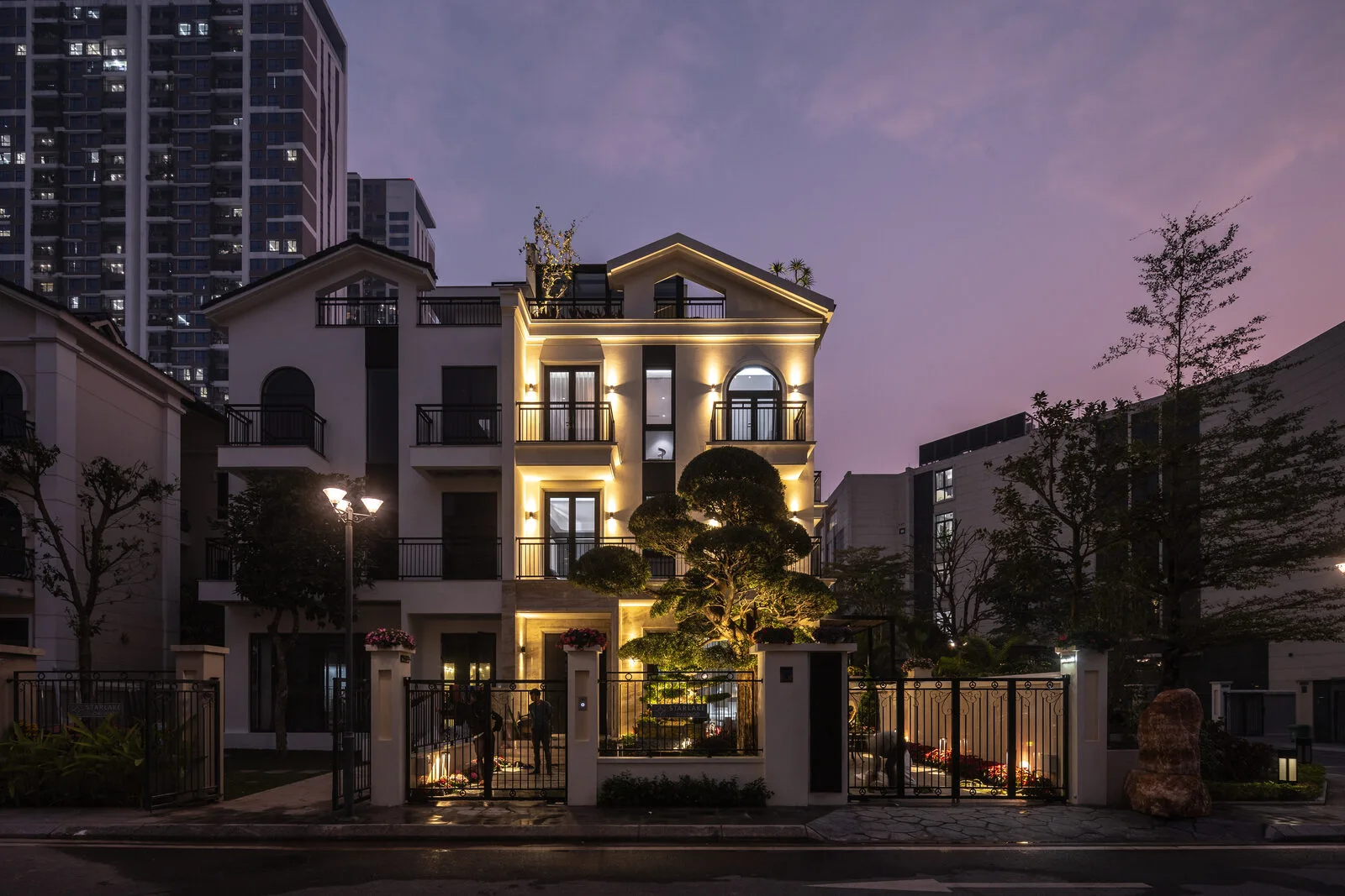 The courtyard — an ornamental tree uplit like art