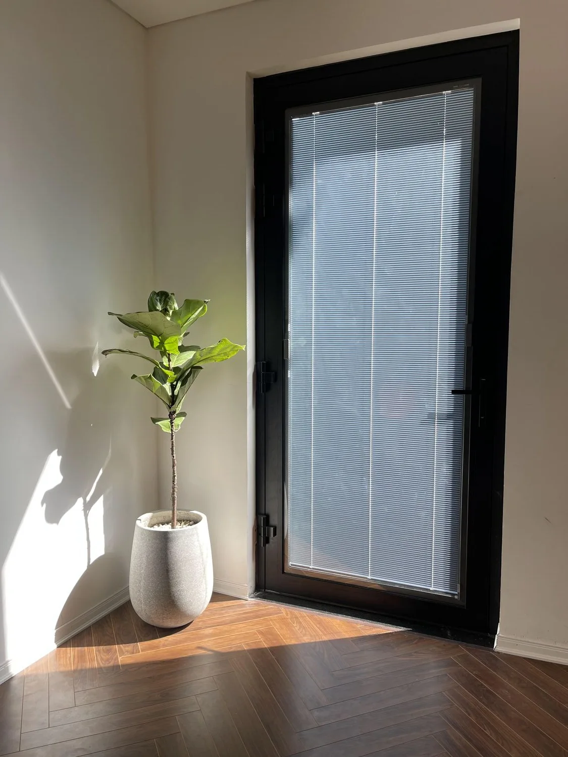Natural light and wall accents