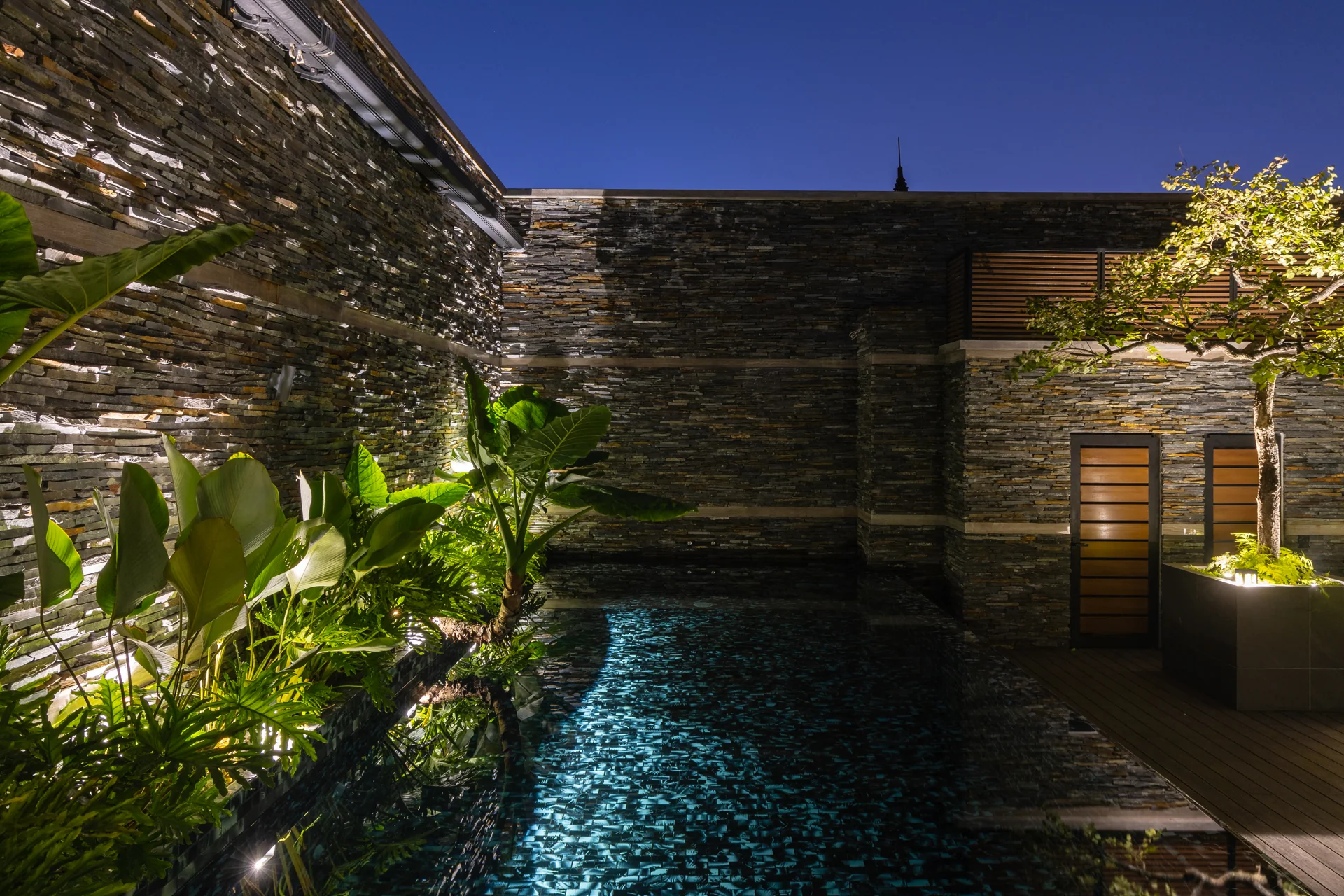 Ánh sáng cây xanh dọc hồ bơi — Villa 44