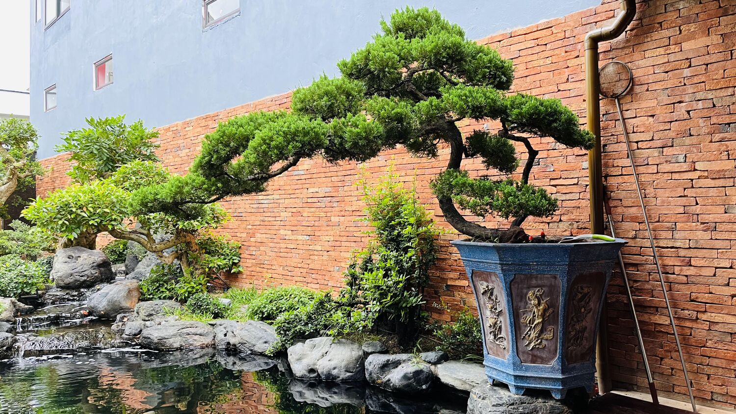 Cây thế và chậu cảnh bên tường gạch
