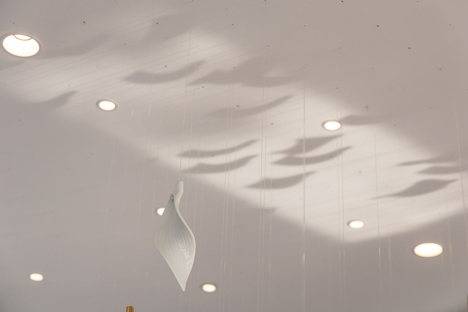Project image 53