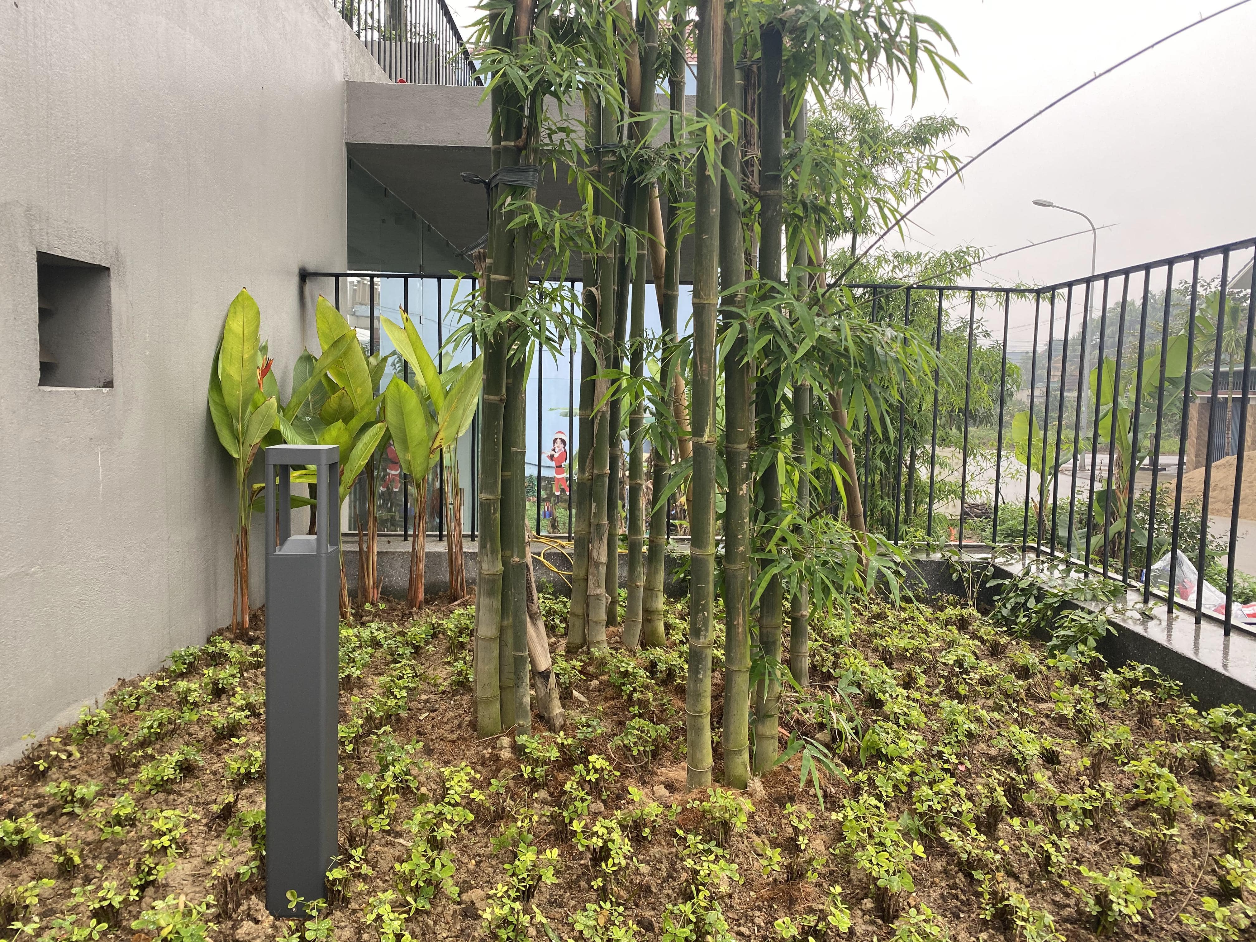 Project image 5