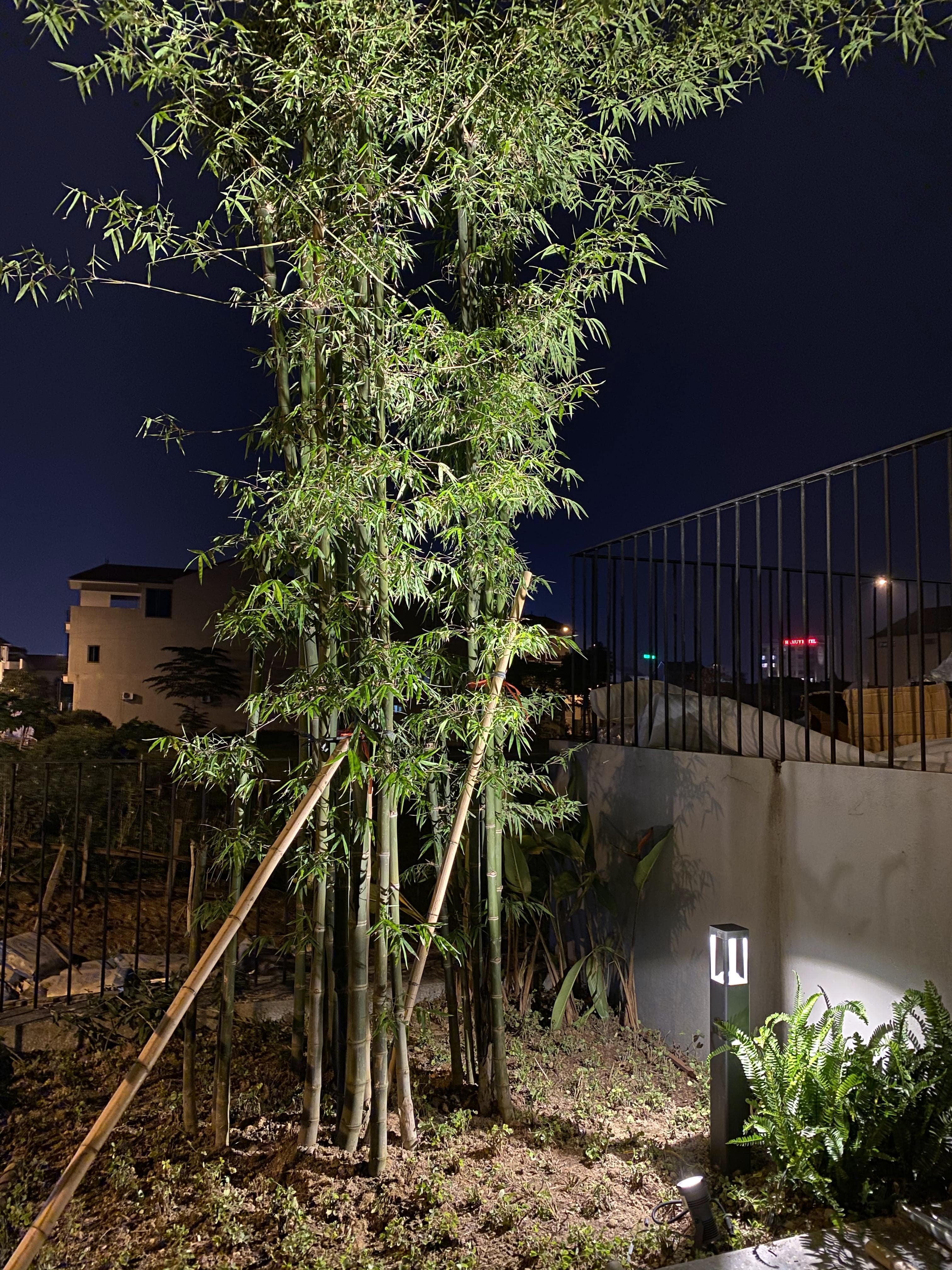 Project image 10