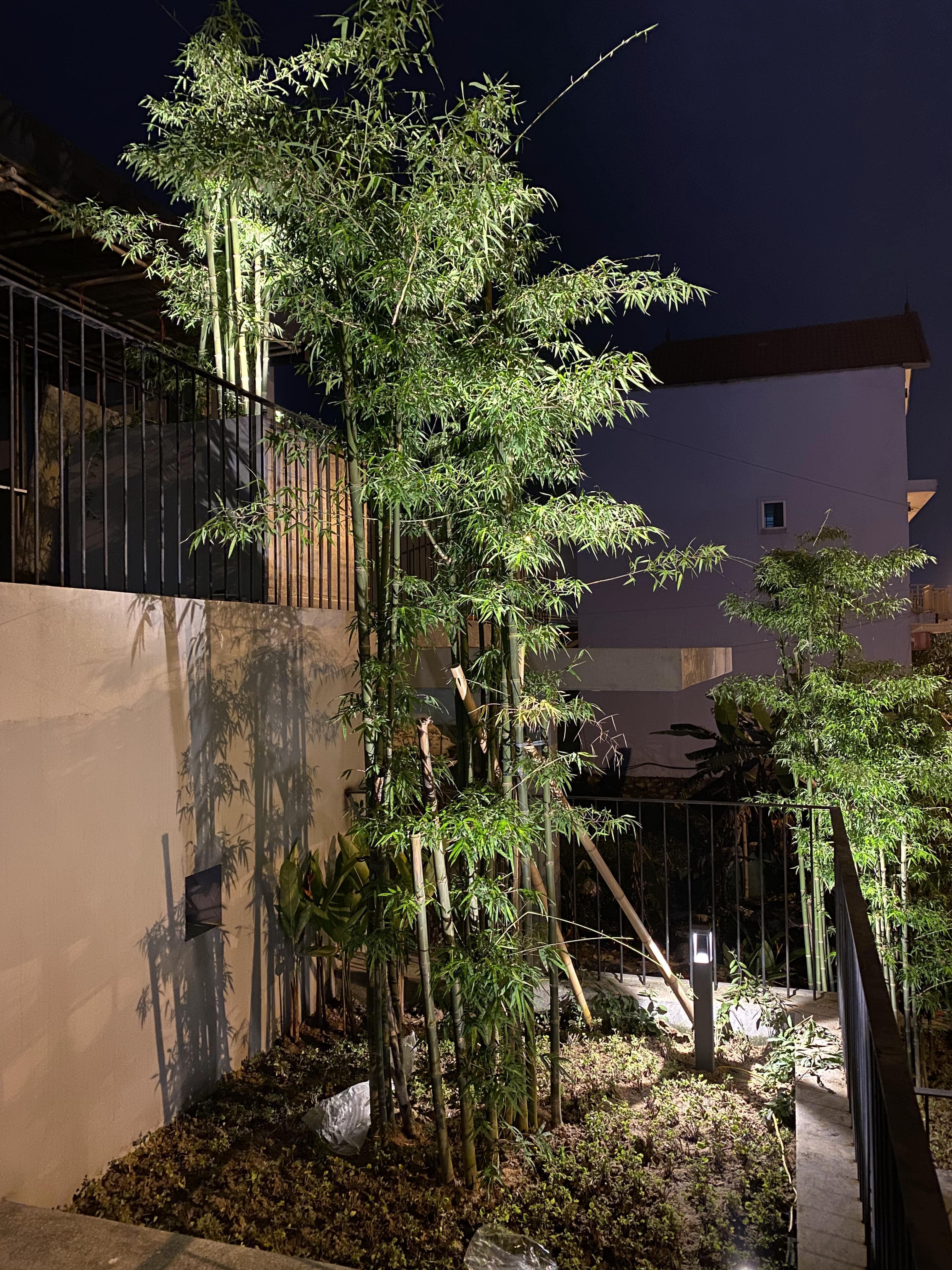 Project image 11