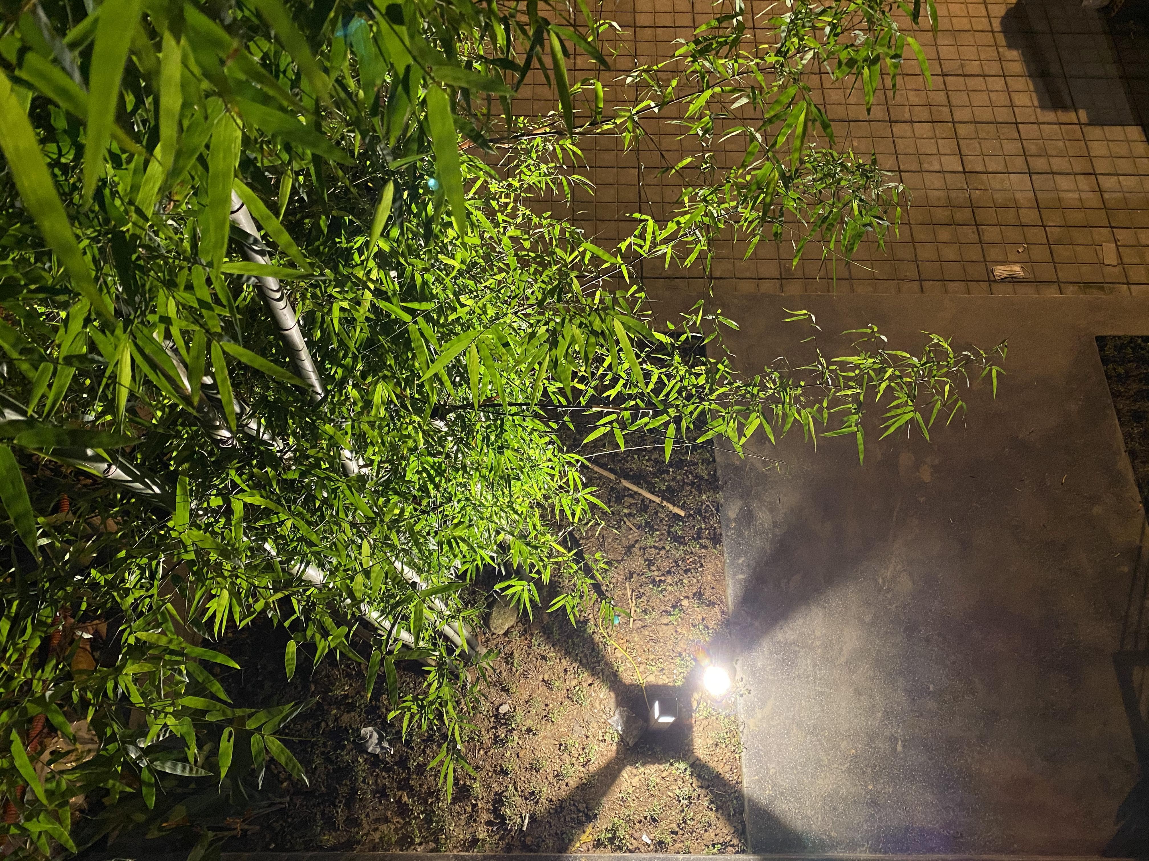 Project image 15