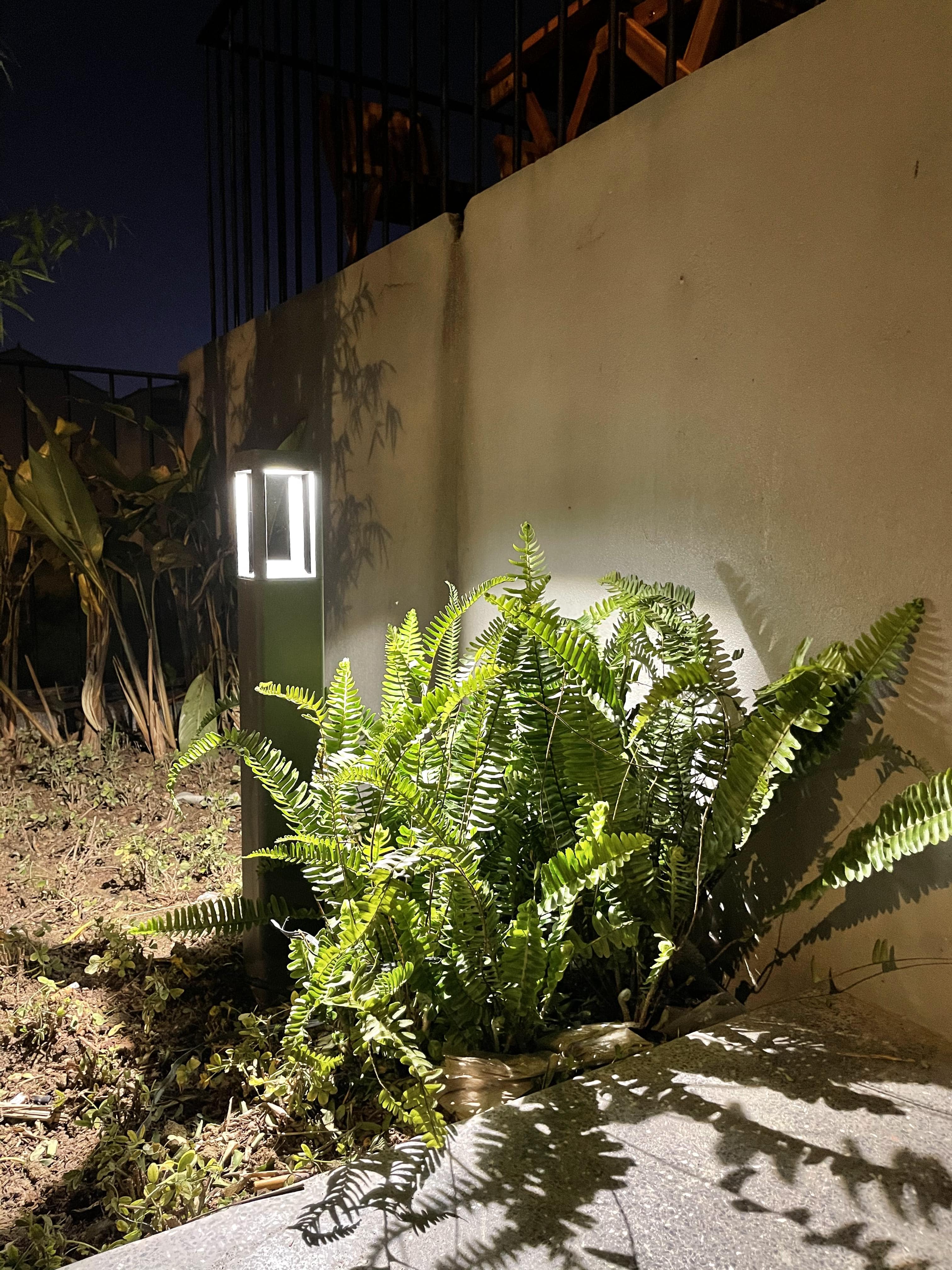 Project image 19